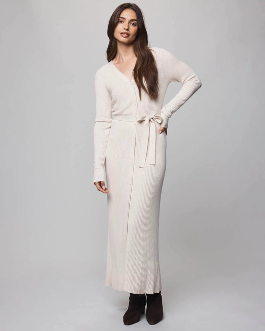 Georgie Button Down Dress by Splendid | Pale Oak Heather