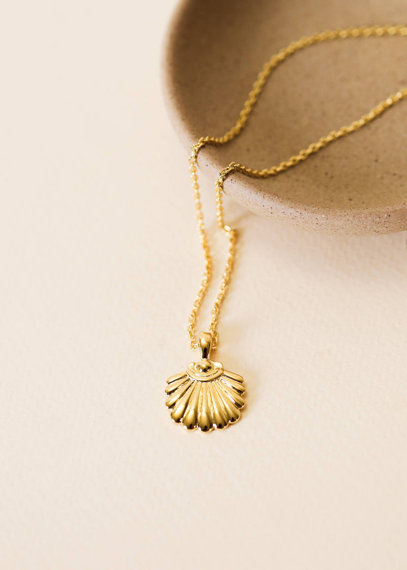 Seashell Pendant 16"-18"Necklace by JaxKelly