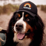 Puppies Rainbow Foam Trucker Hat by Puppies Make Me Happy| Black