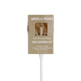 Blooming Lollipop Bundle (Eat, Plant & Grow an Herb/Flower) - Zen&Zip