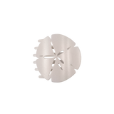 Sand Dollar | Medium | Flat Shape Hair Clip