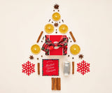 Mulling Spice Kit by Pinch Provisions | Red Tartan Plaid - Zen&Zip