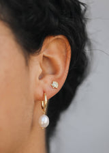 Seashell - Earring - Zen&Zip