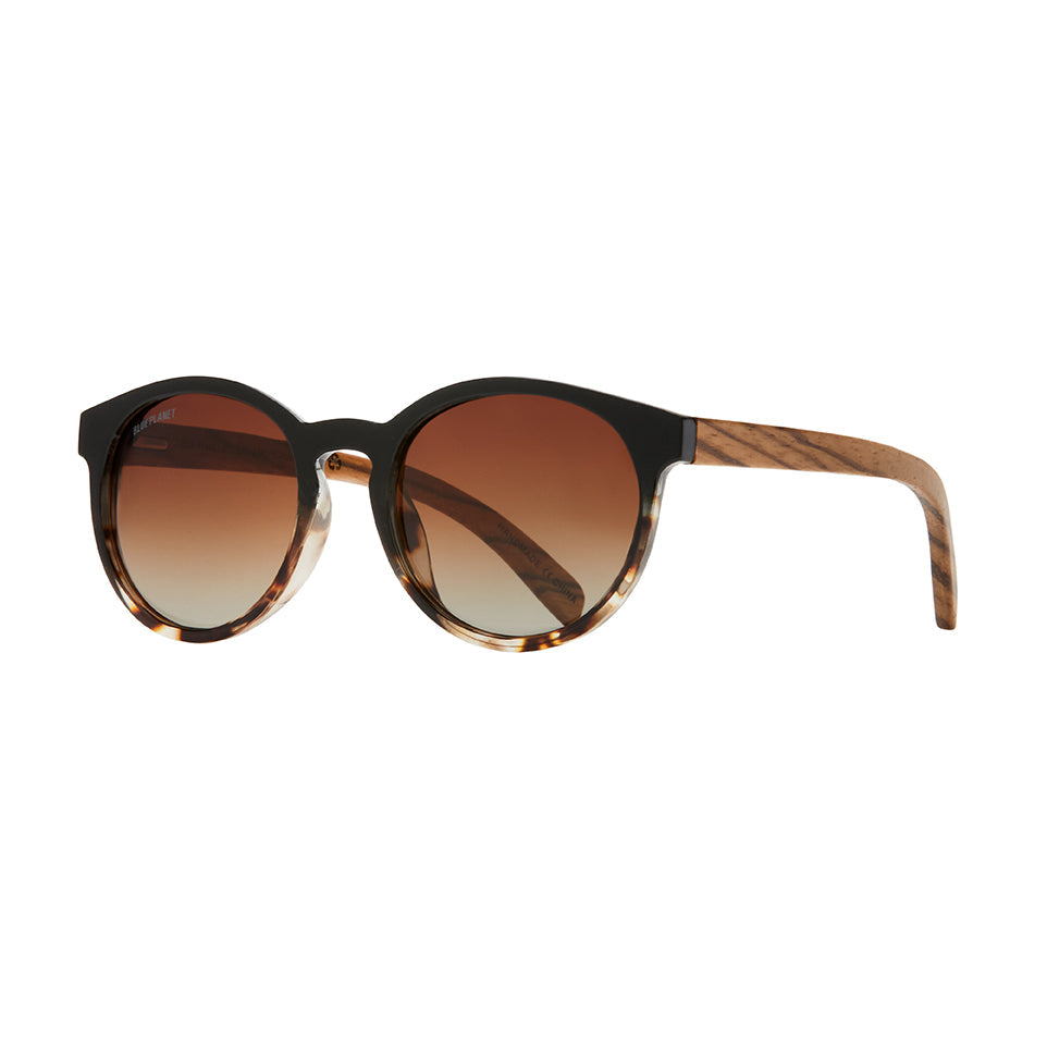 Andiz by Blue Planet | Onyx to Honey Tortoise/Zebra Wood/Gradient Brown Polarized