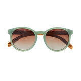 Reagan by Blue Planet | Sage Green/Zebra Wood/Gradient Brown Polarized