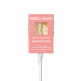 Blooming Lollipop Bundle (Eat, Plant & Grow an Herb/Flower) - Zen&Zip