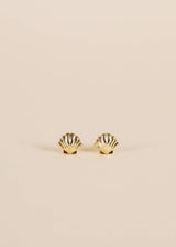 Seashell - Earring - Zen&Zip