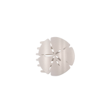 Sand Dollar | Small | Flat Shape Hair Clip