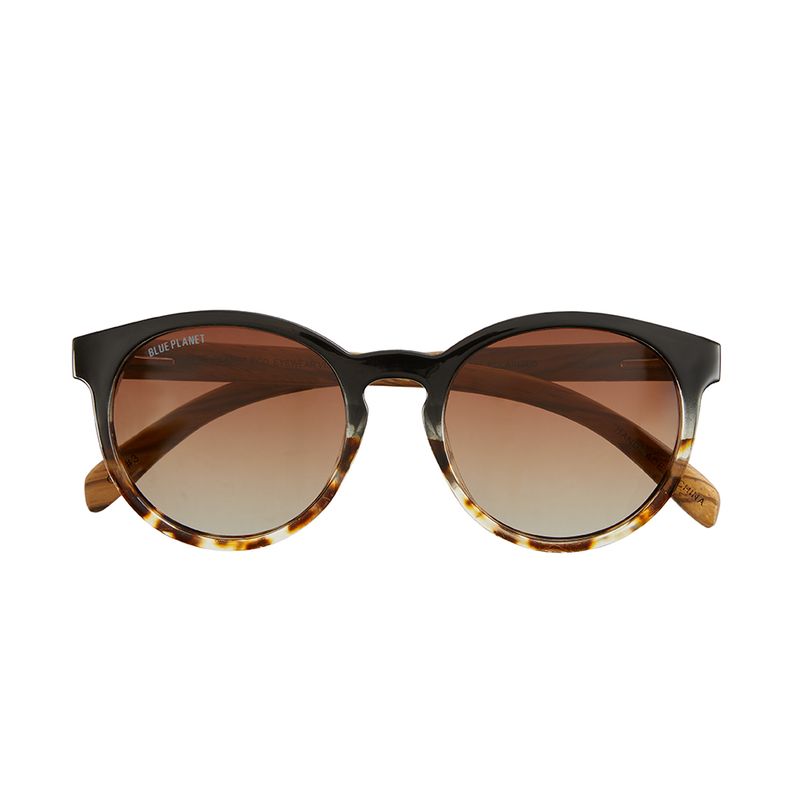 Andiz by Blue Planet | Onyx to Honey Tortoise/Zebra Wood/Gradient Brown Polarized