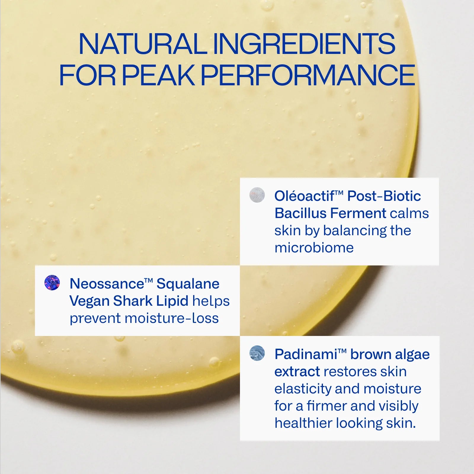 Deeper Dive Moisturizer by Freaks of Nature