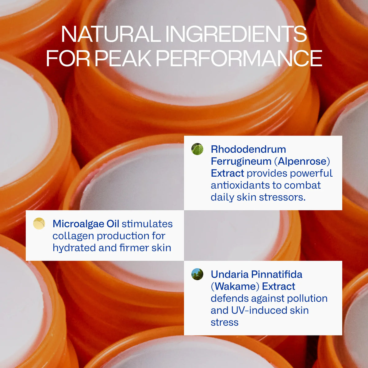 Peak Performance Sun Stick SPF50 by Freaks of Nature